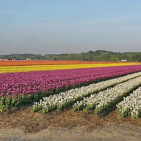 בית נופש House Met Parkeerplaats In Het Centrum אגמונד אן זי
