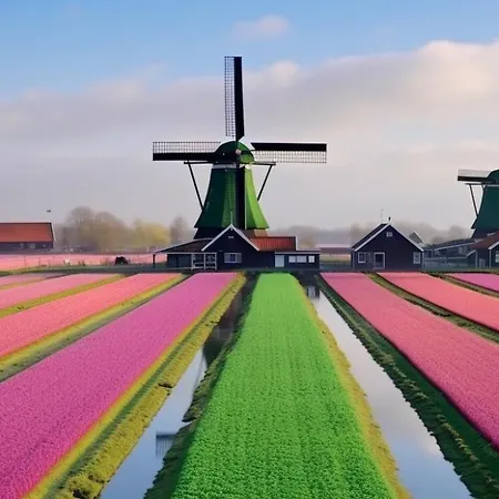 House Met Parkeerplaats In Het Centrum * Egmond aan Zee
